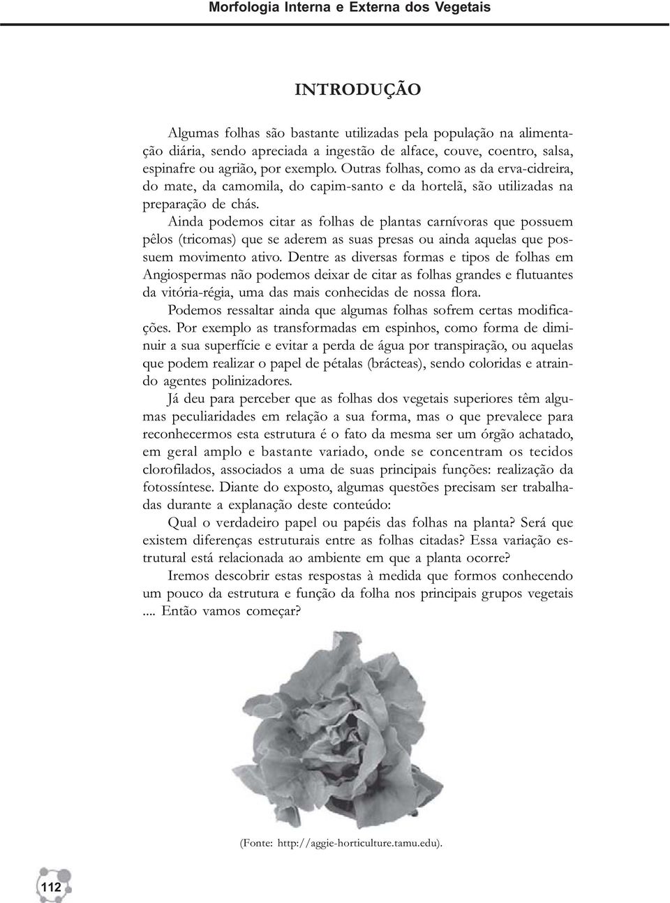 Ainda podemos citar as folhas de plantas carnívoras que possuem pêlos (tricomas) que se aderem as suas presas ou ainda aquelas que possuem movimento ativo.