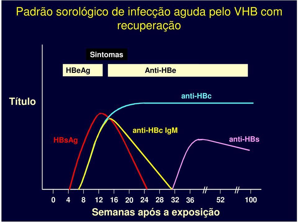 anti-hbc HBsAg anti-hbc IgM anti-hbs 0 4 8 12