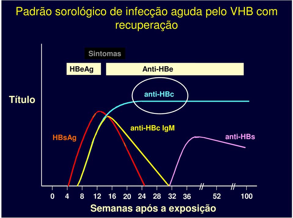 anti-hbc HBsAg anti-hbc IgM anti-hbs 0 4 8 12