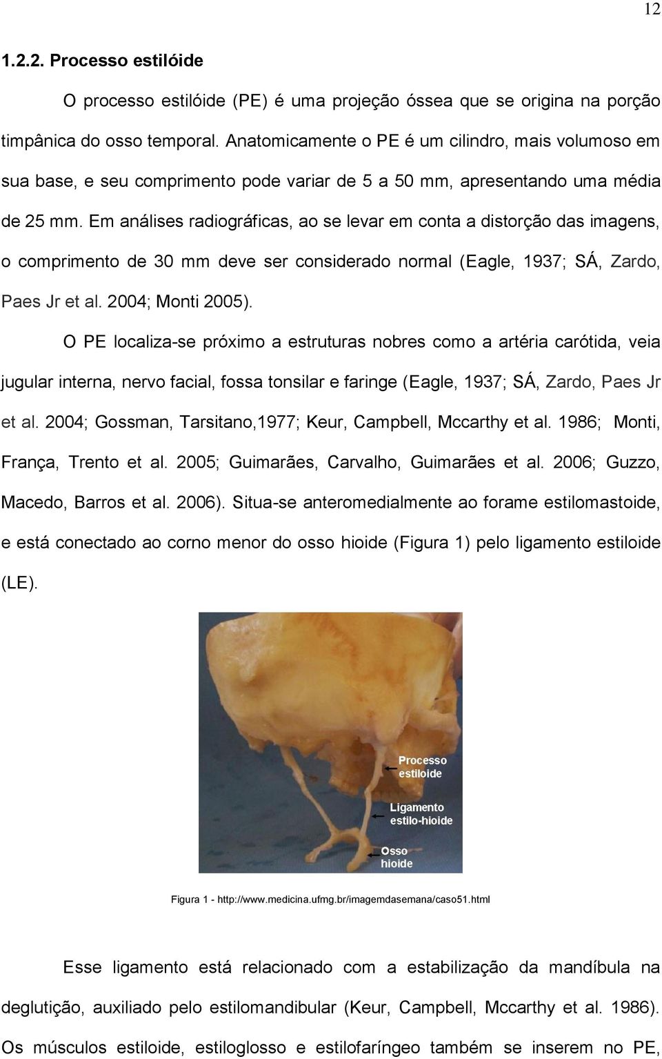 Em análises radiográficas, ao se levar em conta a distorção das imagens, o comprimento de 30 mm deve ser considerado normal (Eagle, 1937; SÁ, Zardo, Paes Jr et al. 2004; Monti 2005).