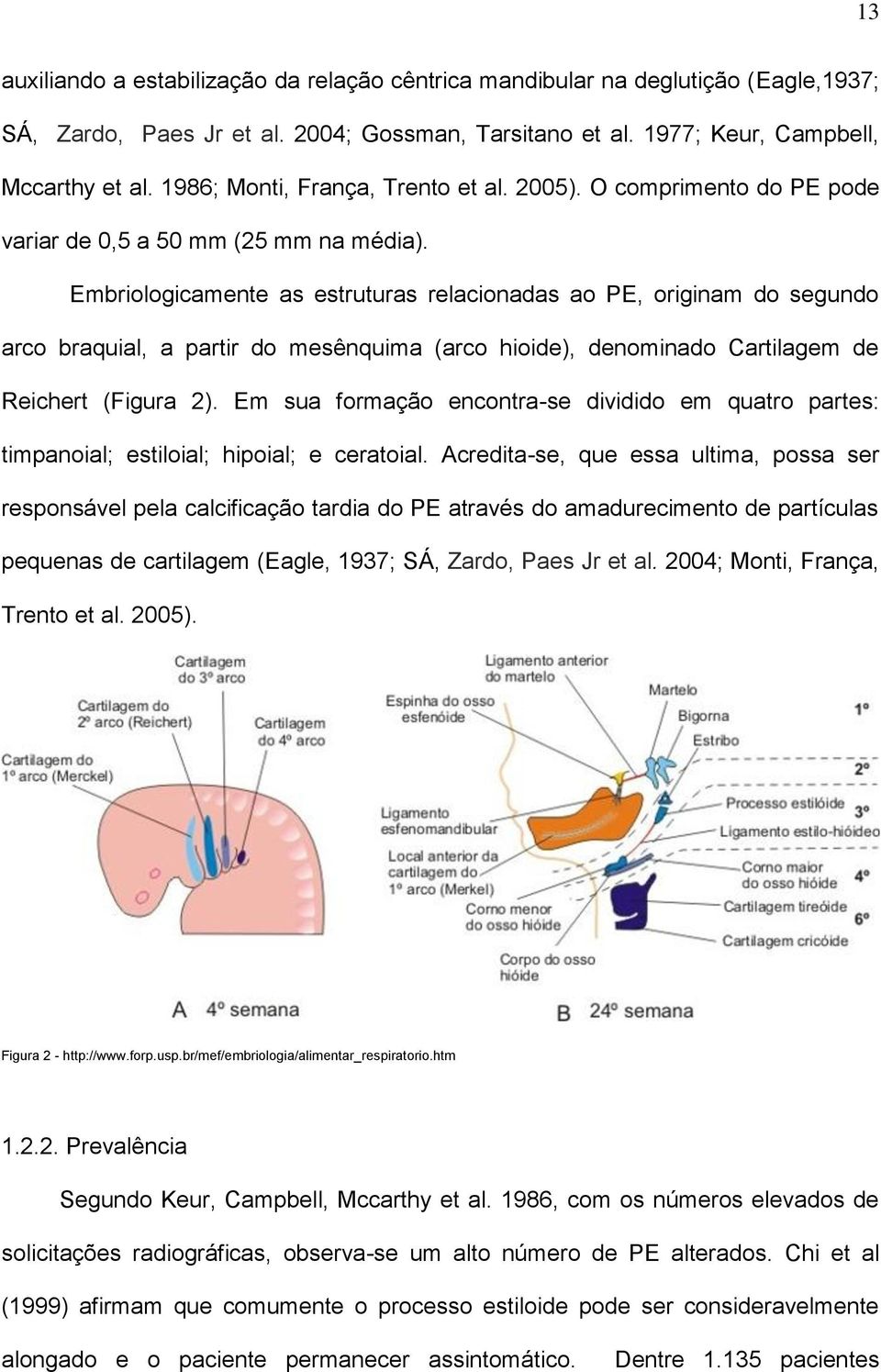Embriologicamente as estruturas relacionadas ao PE, originam do segundo arco braquial, a partir do mesênquima (arco hioide), denominado Cartilagem de Reichert (Figura 2).