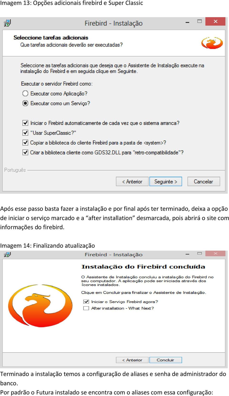 com informações do firebird.