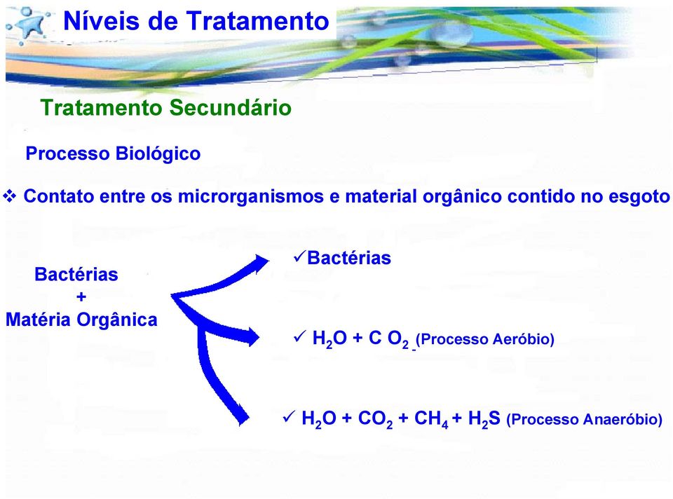 esgoto Bactérias + Matéria Orgânica Bactérias H 2 O + C O 2