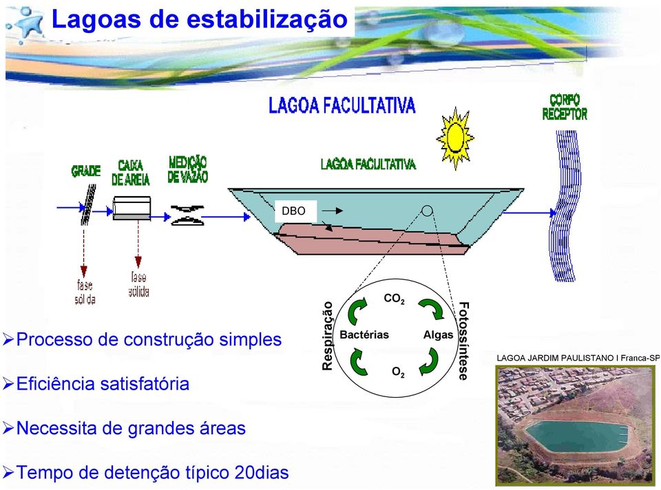 Bactérias O 2 Algas Fotossíntese LAGOA JARDIM PAULISTANO