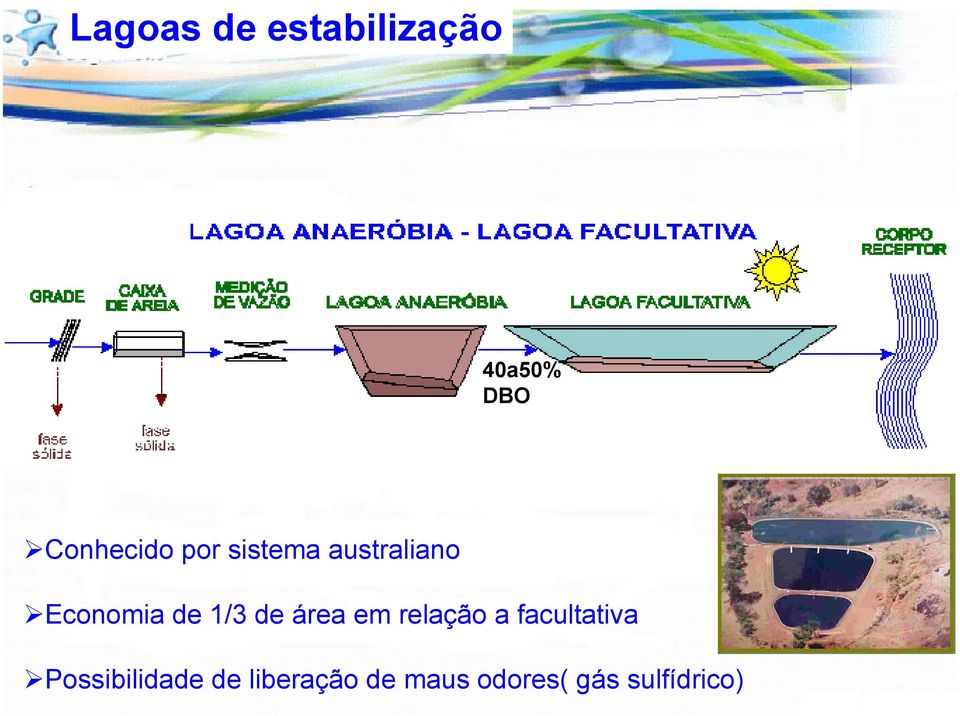 de 1/3 de área em relação a facultativa