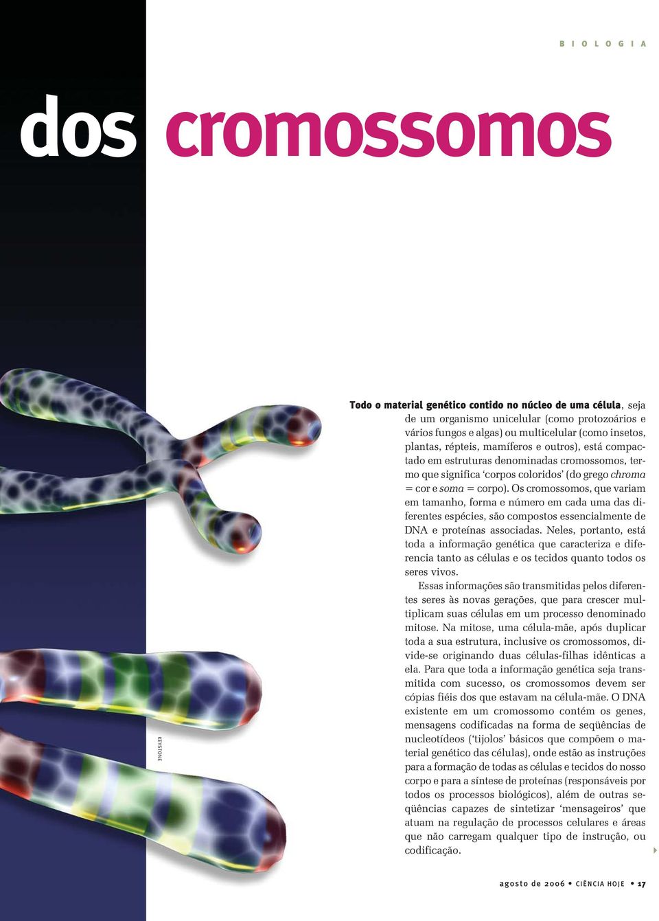 Os cromossomos, que variam em tamanho, forma e número em cada uma das diferentes espécies, são compostos essencialmente de DNA e proteínas associadas.