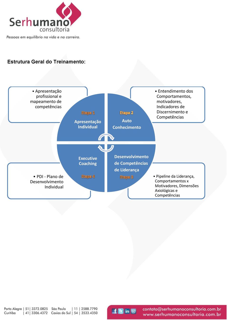 e Competências PDI - Plano de Desenvolvimento Individual Executive Coaching Desenvolvimento de