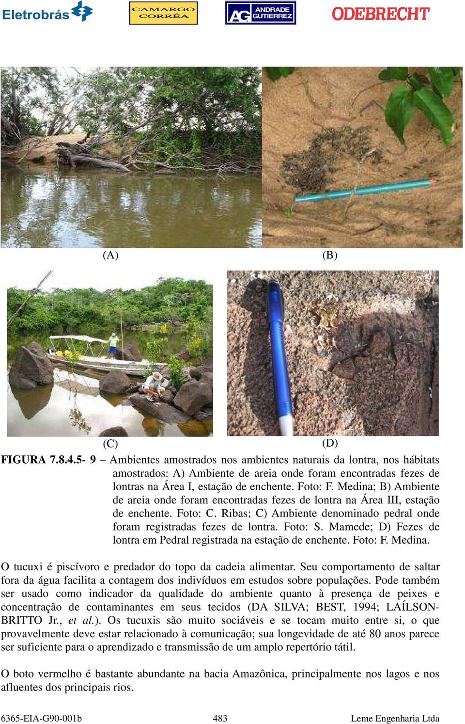 Medina; B) Ambiente de areia onde foram encontradas fezes de lontra na Área III, estação de enchente. Foto: C. Ribas; C) Ambiente denominado pedral onde foram registradas fezes de lontra. Foto: S.