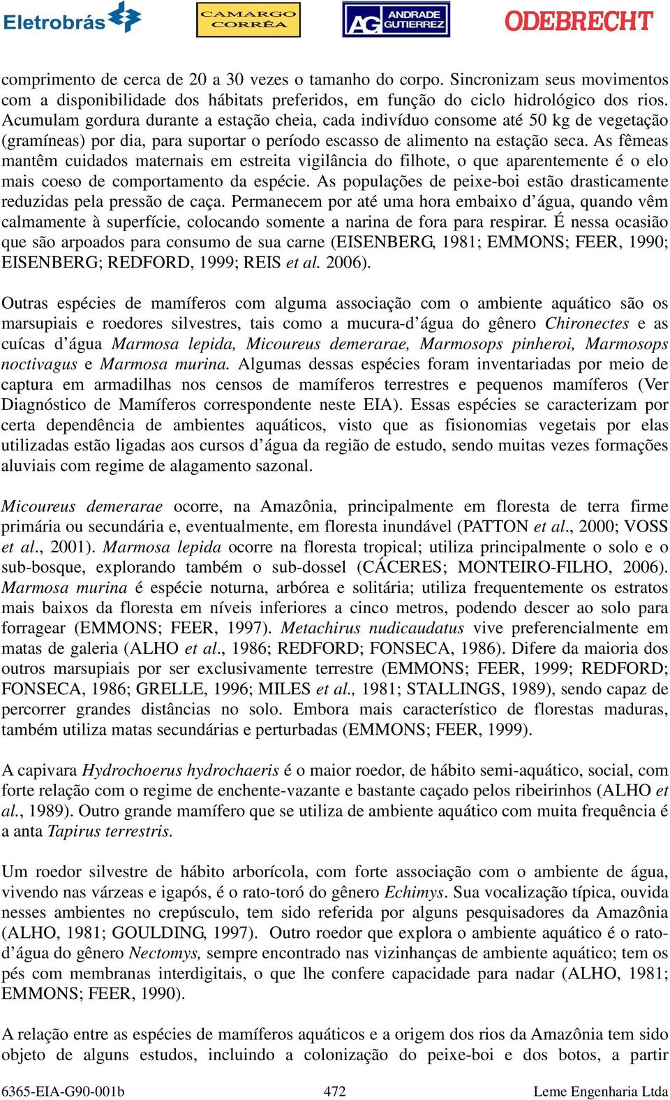 As fêmeas mantêm cuidados maternais em estreita vigilância do filhote, o que aparentemente é o elo mais coeso de comportamento da espécie.