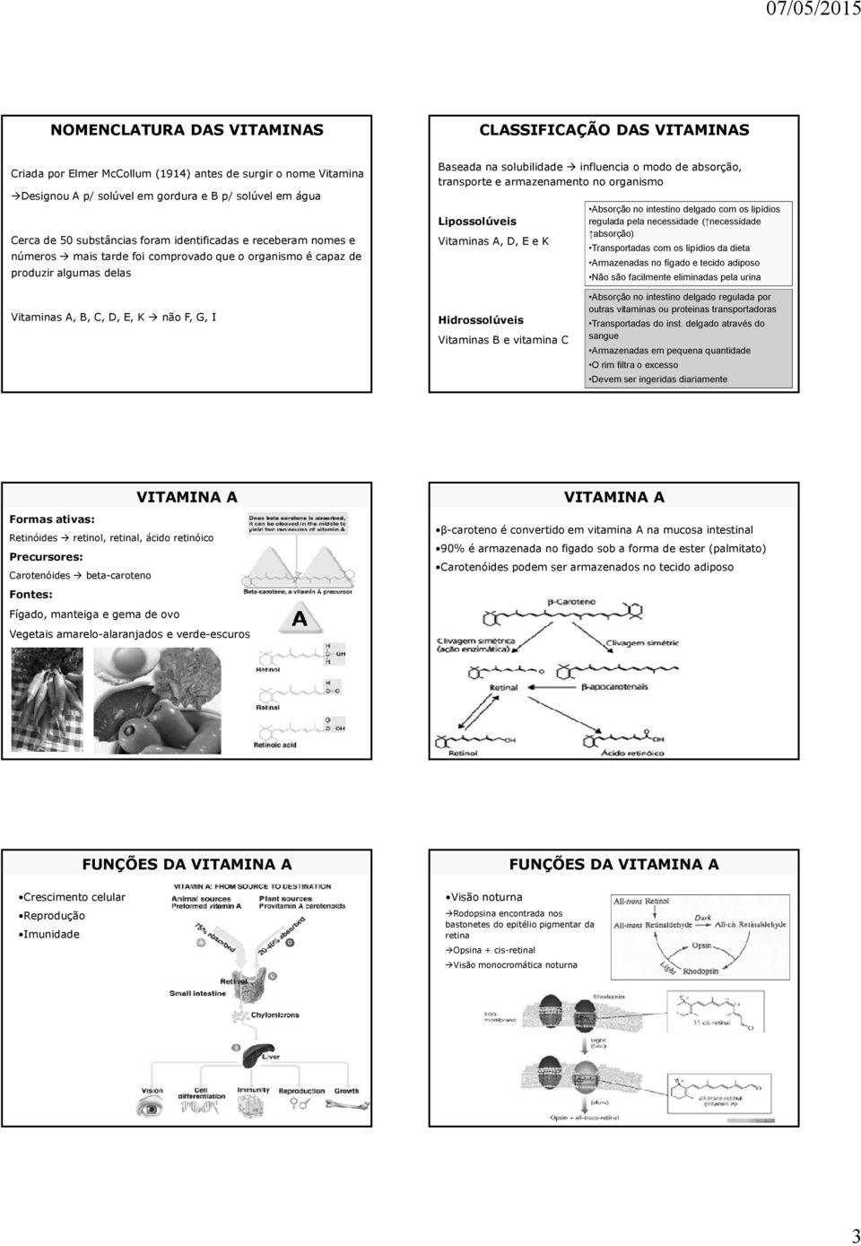 armazenamento no organismo Lipossolúveis Vitaminas A, D, E e K Absorção no intestino delgado com os lipídios regulada pela necessidade ( necessidade absorção) Transportadas com os lipídios da dieta