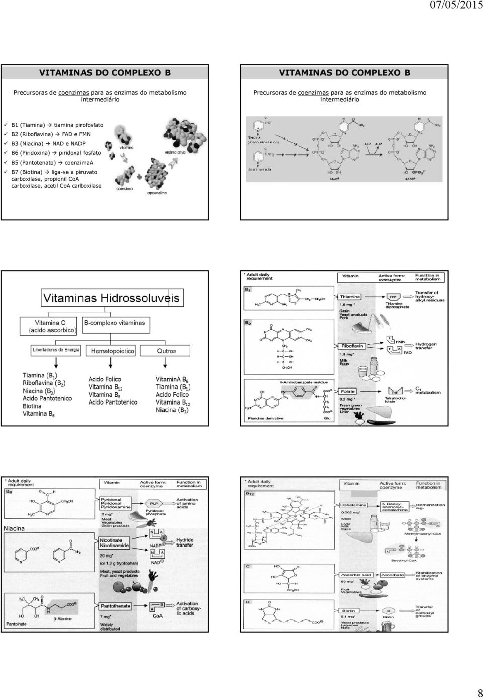 tiamina pirofosfato B2 (Riboflavina) FAD e FMN B3 (Niacina) NAD e NADP B6 (Piridoxina) piridoxal fosfato B5
