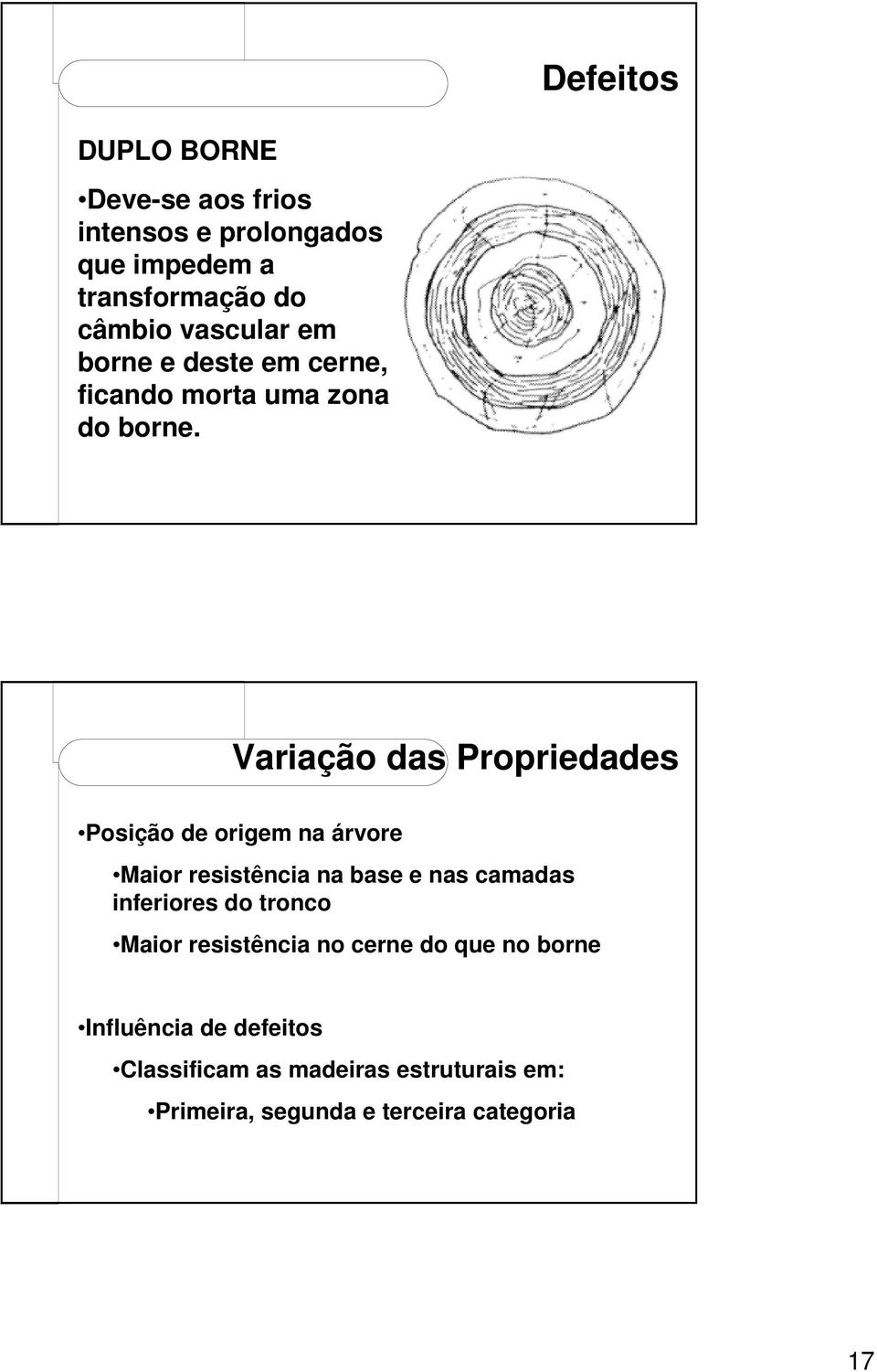 Variação das Propriedades Posição de origem na árvore Maior resistência na base e nas camadas inferiores do