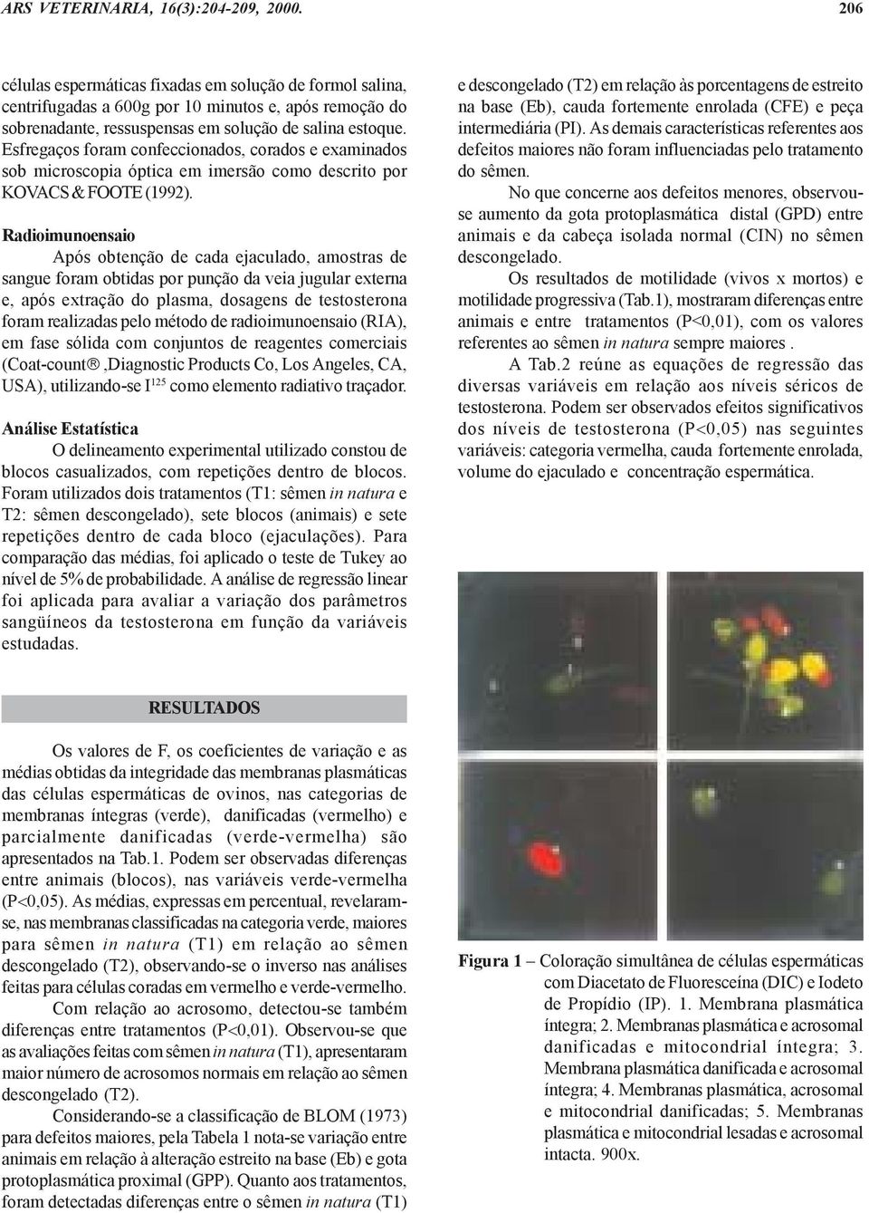 Esfregaços foram confeccionados, corados e examinados sob microscopia óptica em imersão como descrito por KOVACS & FOOTE (1992).