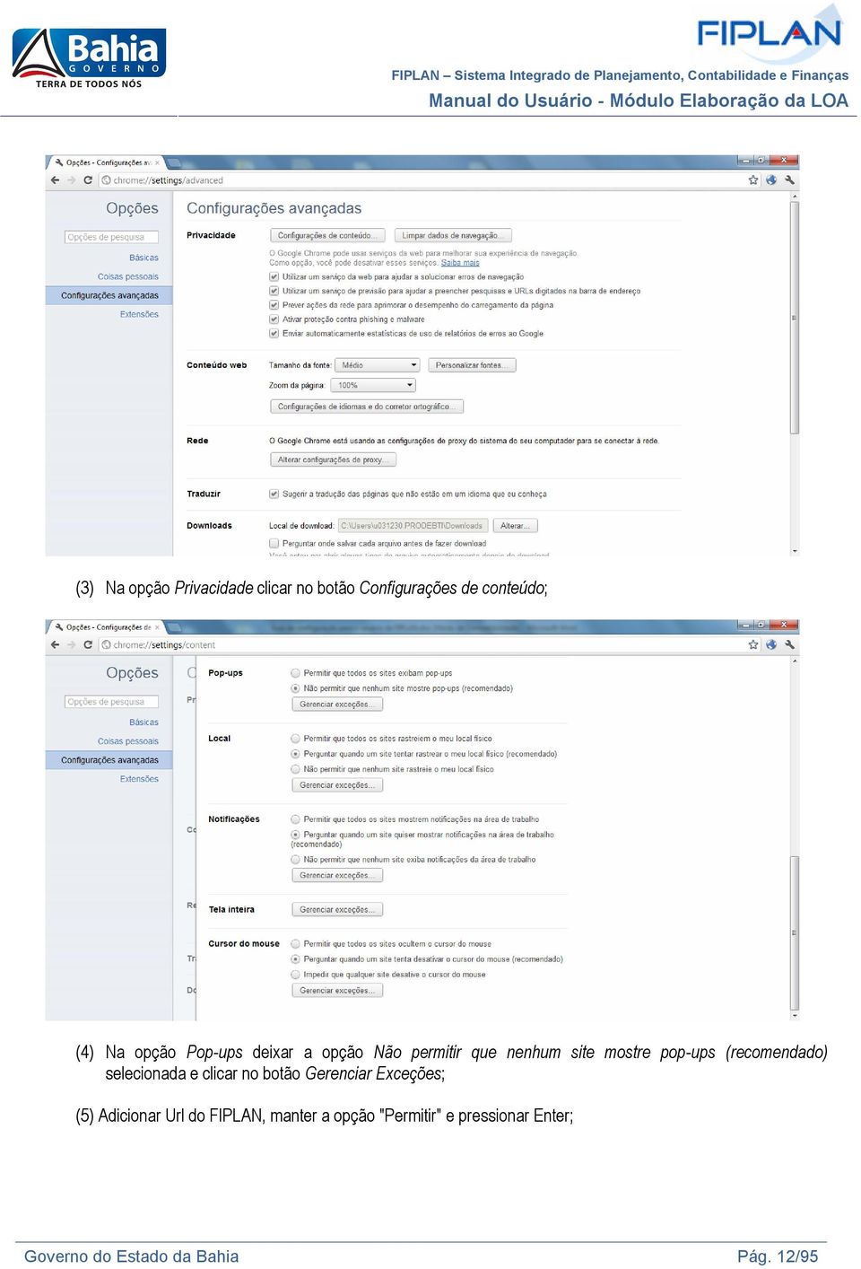 selecionada e clicar no botão Gerenciar Exceções; (5) Adicionar Url do FIPLAN,