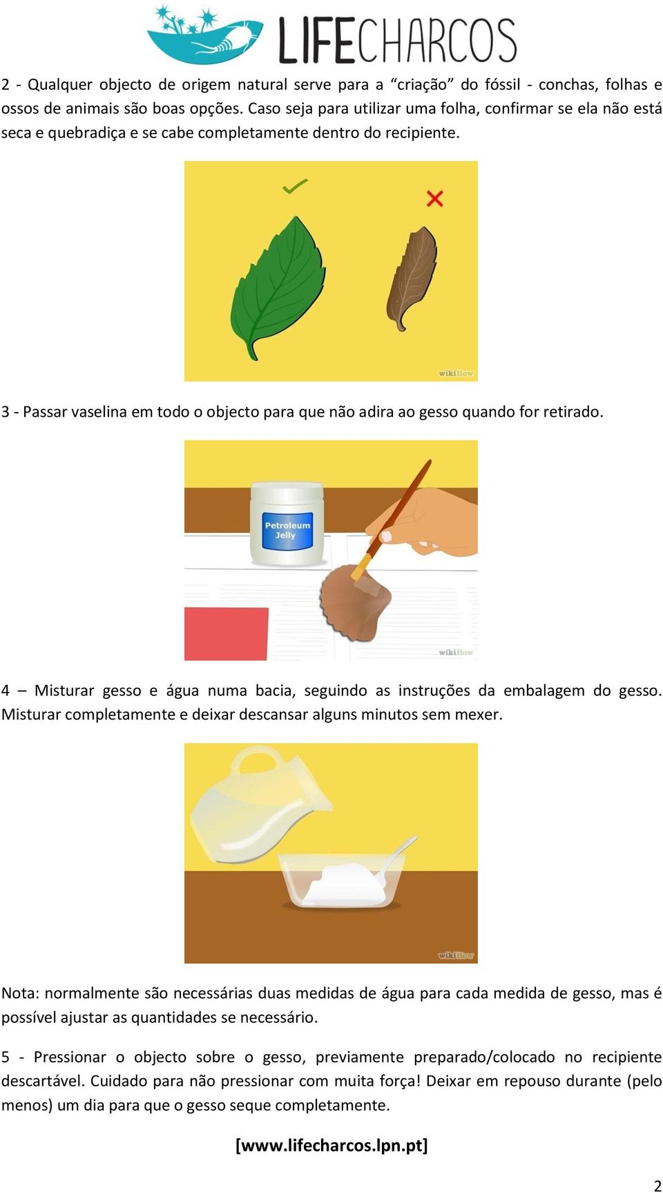 3 - Passar vaselina em todo o objecto para que não adira ao gesso quando for retirado. 4 Misturar gesso e água numa bacia, seguindo as instruções da embalagem do gesso.