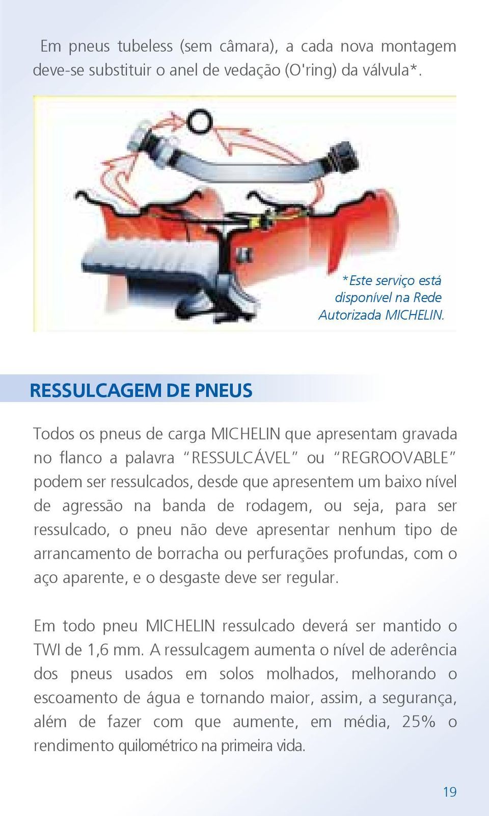 banda de rodagem, ou seja, para ser ressulcado, o pneu não deve apresentar nenhum tipo de arrancamento de borracha ou perfurações profundas, com o aço aparente, e o desgaste deve ser regular.