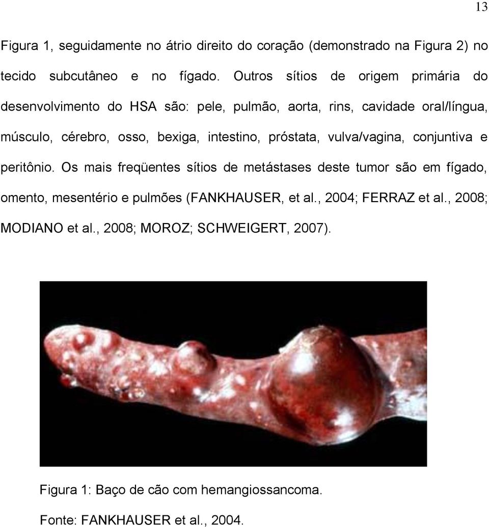 intestino, próstata, vulva/vagina, conjuntiva e peritônio.