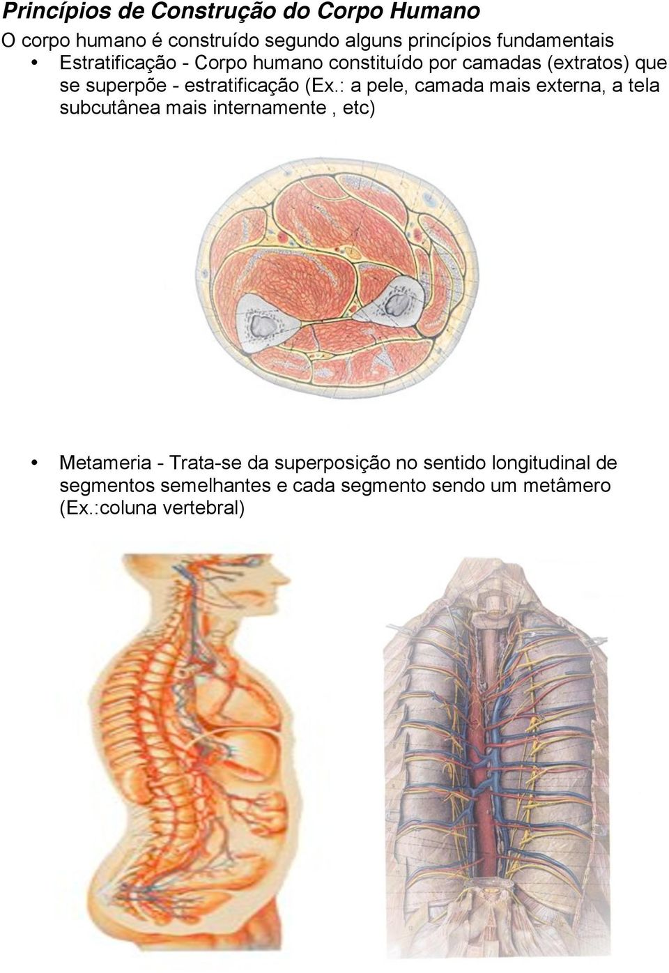 estratificação (Ex.