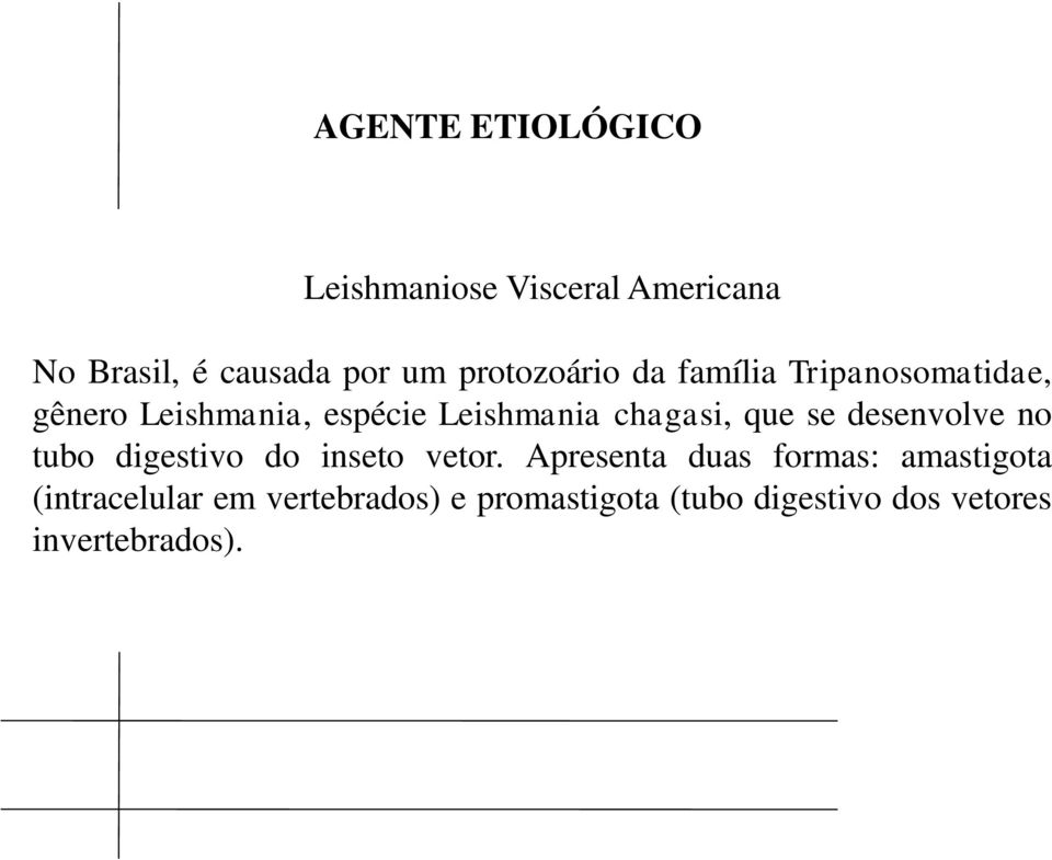 chagasi, que se desenvolve no tubo digestivo do inseto vetor.