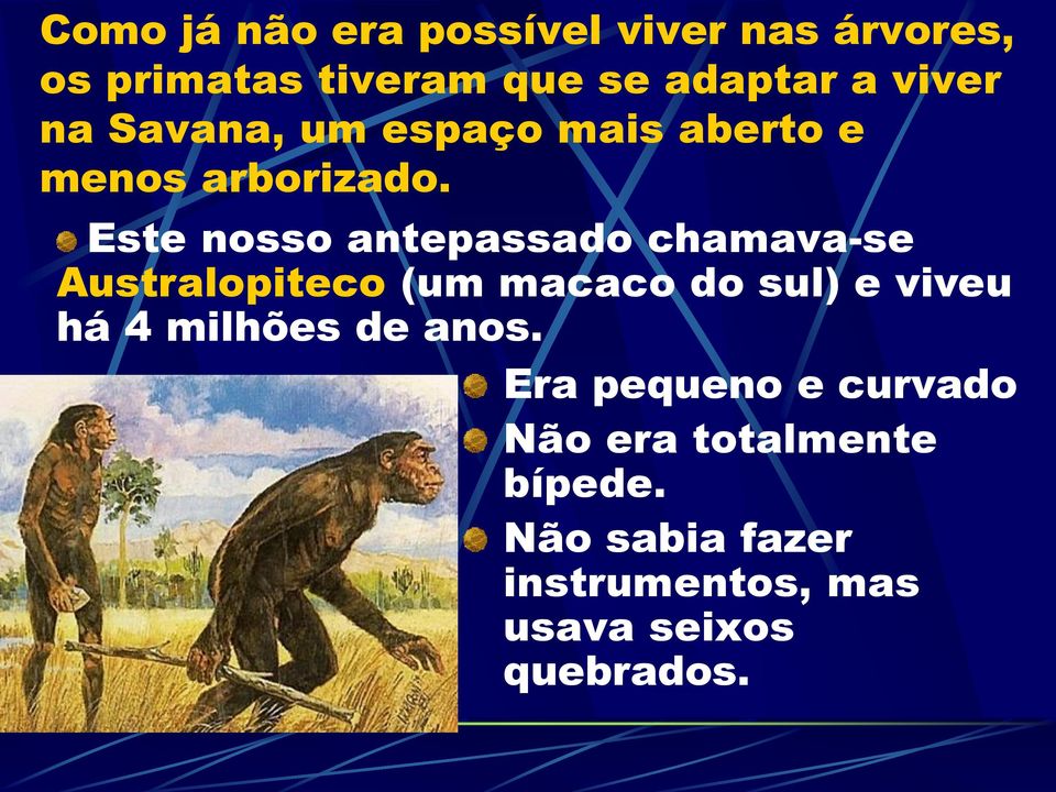 Este nosso antepassado chamava-se Australopiteco (um macaco do sul) e viveu há 4