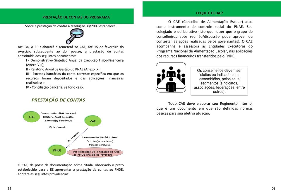 Físico-Financeira (Anexo VIII); II - Relatório Anual de Gestão do PNAE (Anexo IX); III - Extratos bancários da conta corrente específica em que os recursos foram depositados e das aplicações