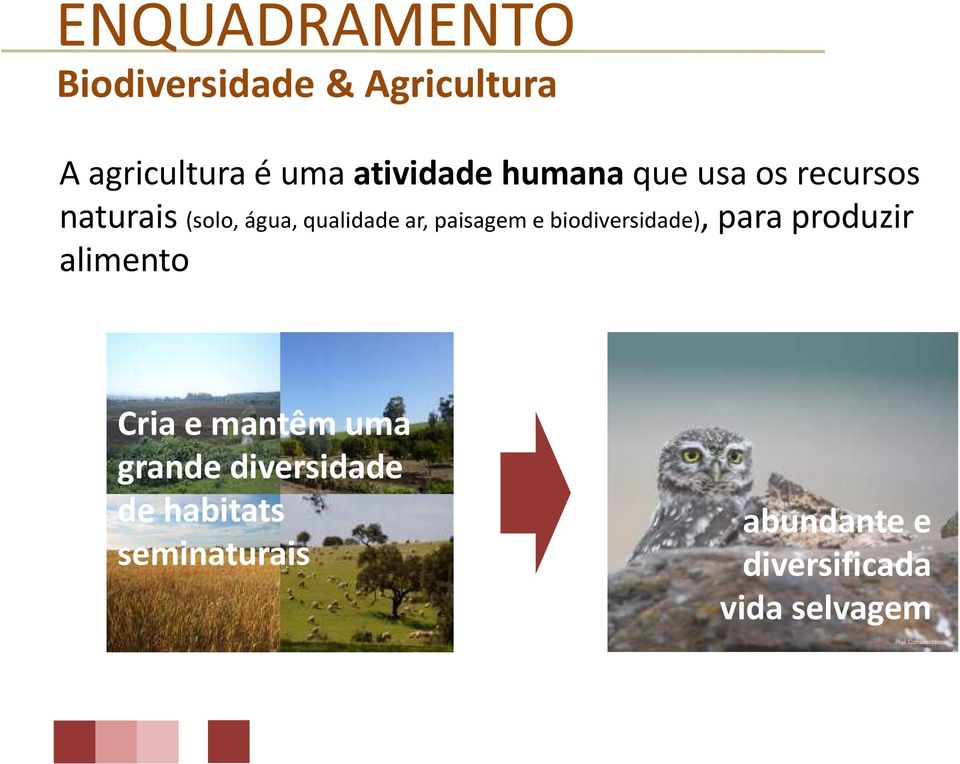 ar, paisagem e biodiversidade), para produzir alimento Cria e mantêm