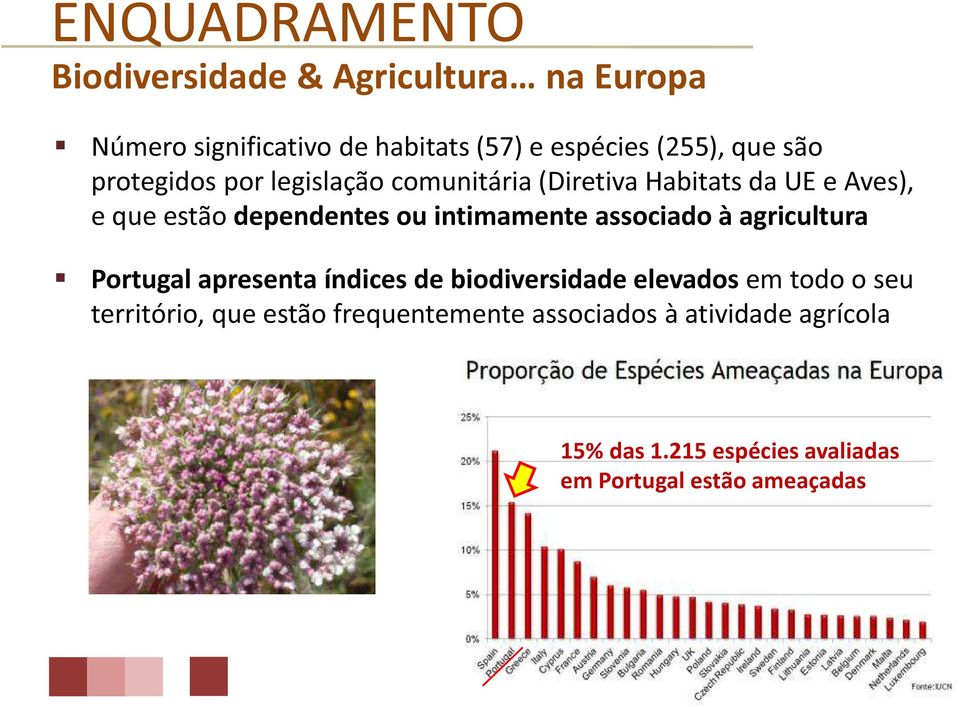 intimamente associado à agricultura Portugal apresenta índices de biodiversidade elevados em todo o seu