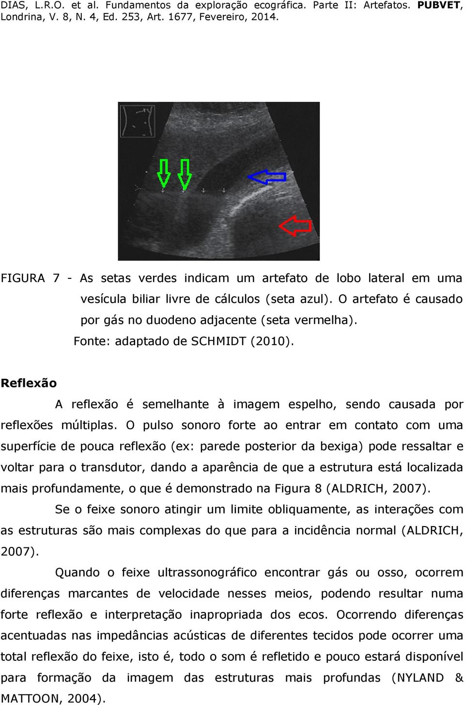 O pulso sonoro forte ao entrar em contato com uma superfície de pouca reflexão (ex: parede posterior da bexiga) pode ressaltar e voltar para o transdutor, dando a aparência de que a estrutura está