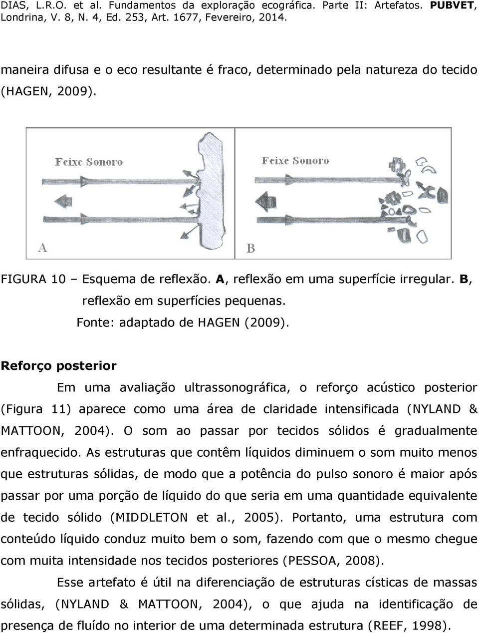 Reforço posterior Em uma avaliação ultrassonográfica, o reforço acústico posterior (Figura 11) aparece como uma área de claridade intensificada (NYLAND & MATTOON, 2004).