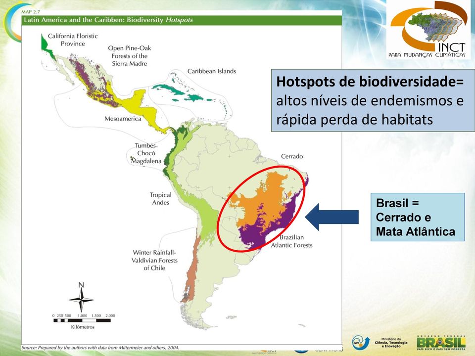 rápida perda de habitats