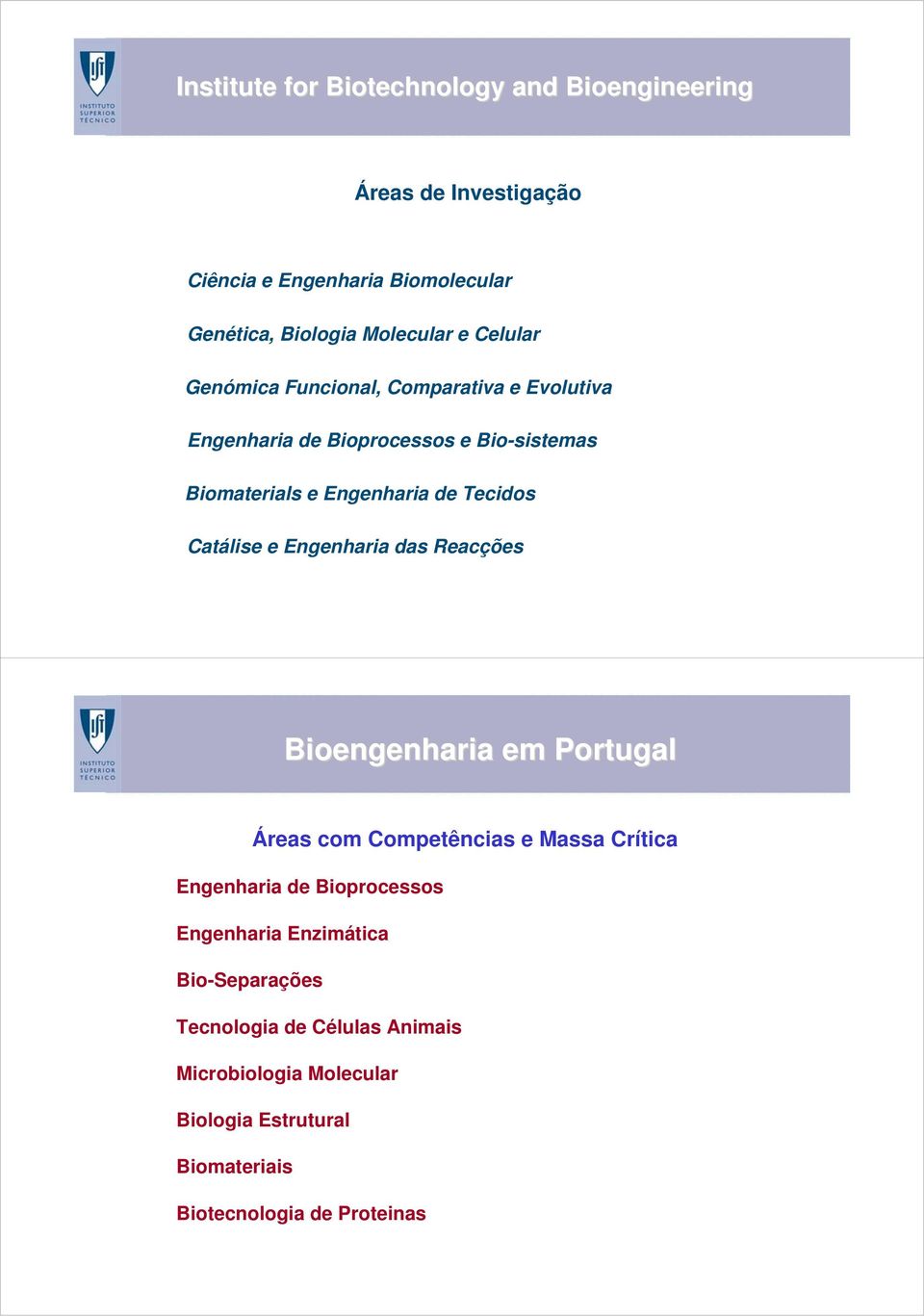 Catálise e Engenharia das Reacções Bioengenharia em Portugal Áreas com Competências e Massa Crítica Engenharia de Bioprocessos