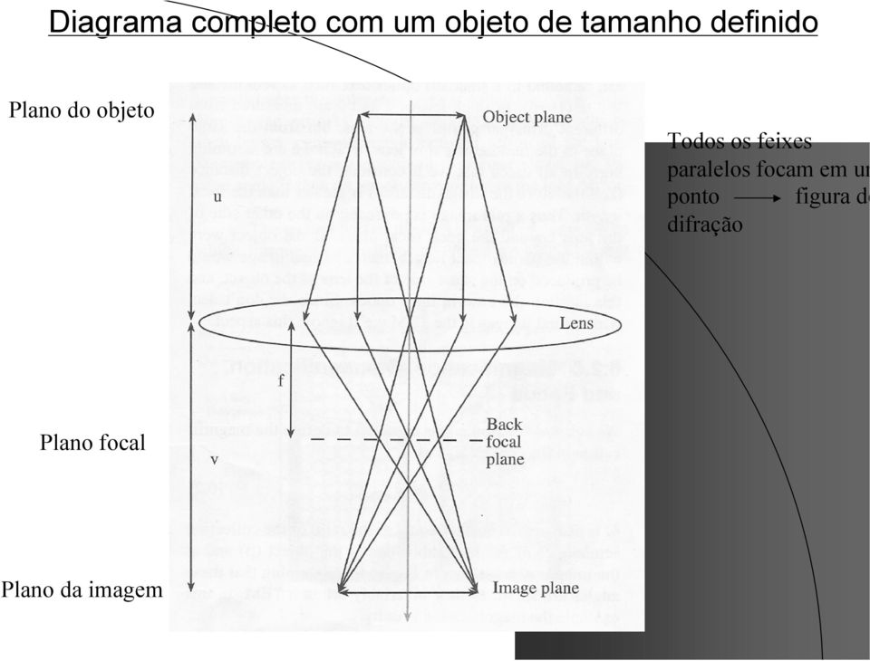 os feixes paralelos focam em um ponto