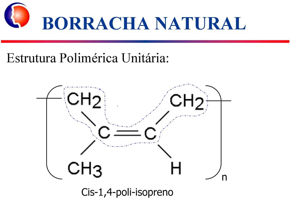 Polimérica