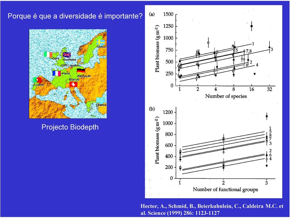 Projecto Biodepth Hector, A.