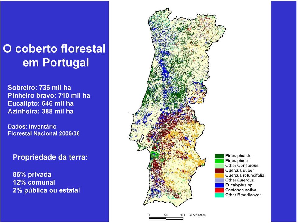 Azinheira: 388 mil ha Dados: Inventário Florestal Nacional