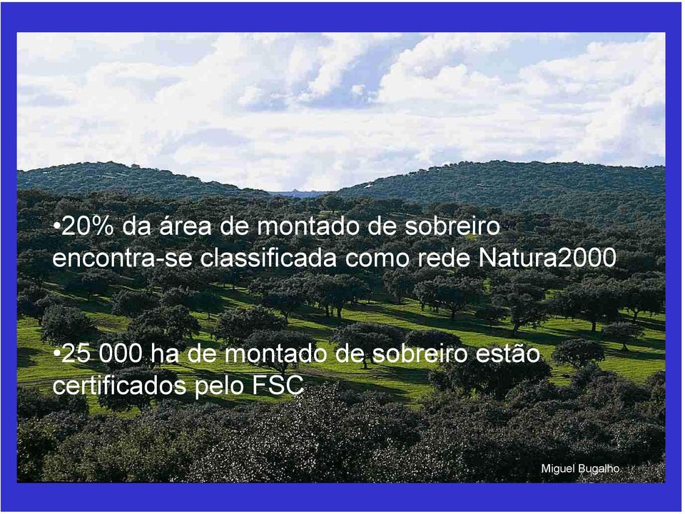 Natura2000 25 000 ha de montado de