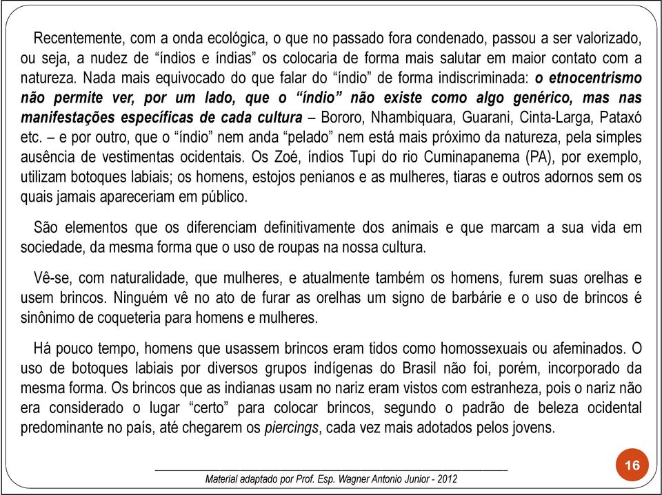 cultura Bororo, Nhambiquara, Guarani, Cinta-Larga, Pataxó etc. e por outro, que o índio nem anda pelado nem está mais próximo da natureza, pela simples ausência de vestimentas ocidentais.