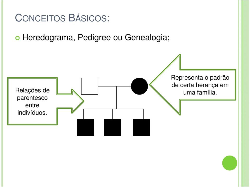 parentesco entre indivíduos.