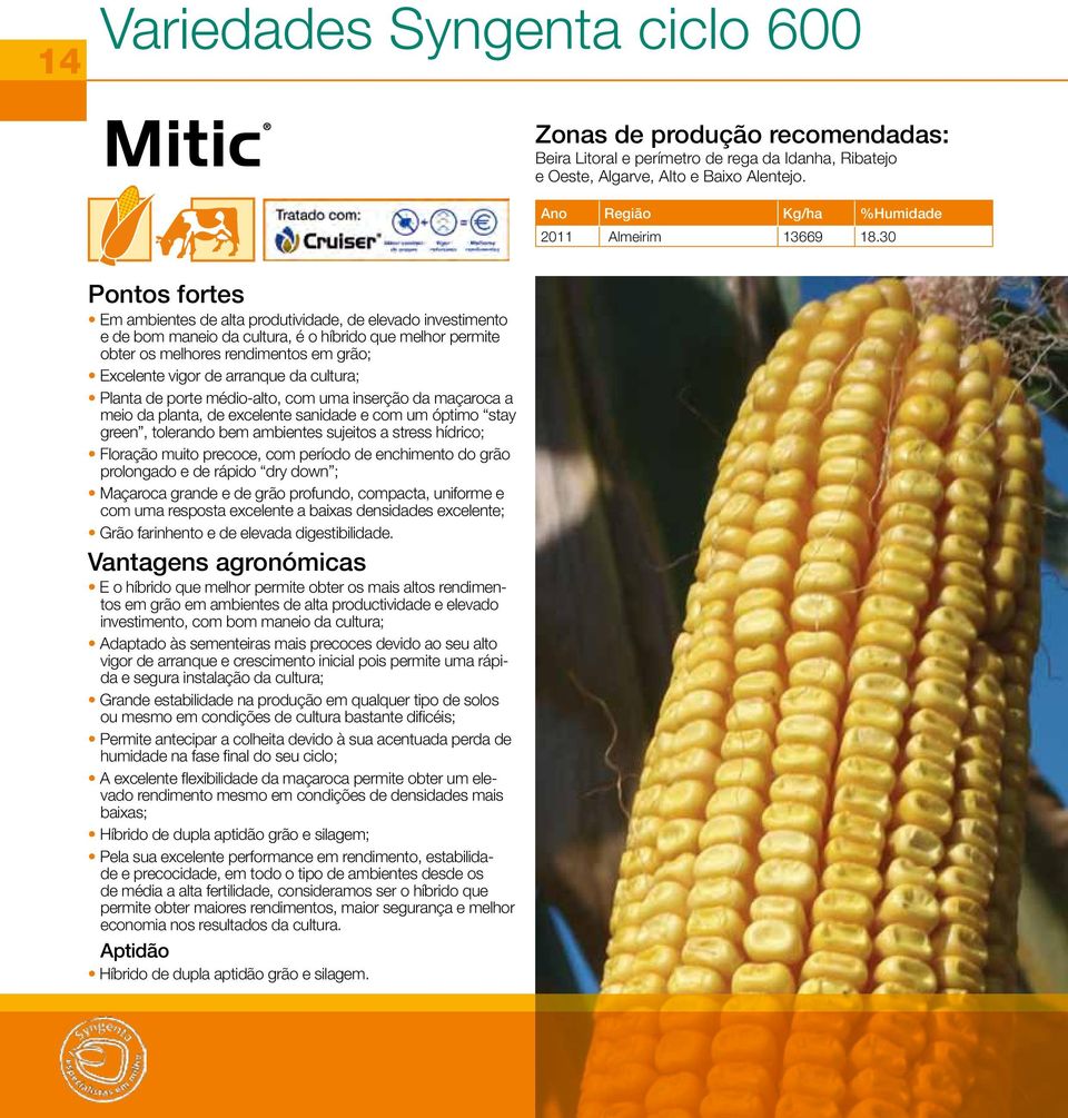 30 Pontos fortes Em ambientes de alta produtividade, de elevado investimento e de bom maneio da cultura, é o híbrido que melhor permite obter os melhores rendimentos em grão; Excelente vigor de