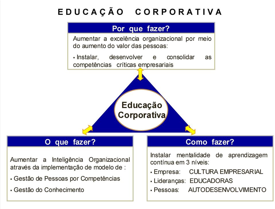 críticas empresariais Educação Corporativa O que fazer?