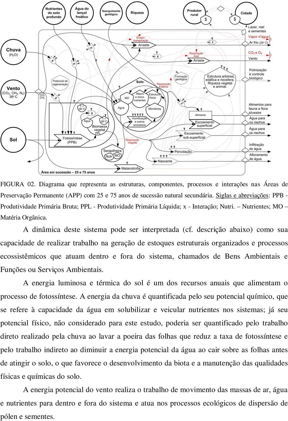 A dinâmica deste sistema pode ser interpretada (cf.