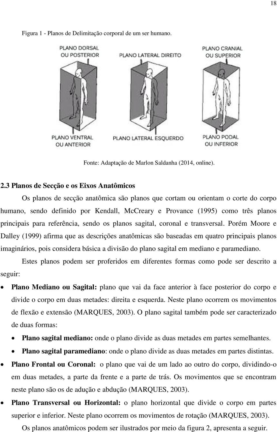 planos principais para referência, sendo os planos sagital, coronal e transversal.