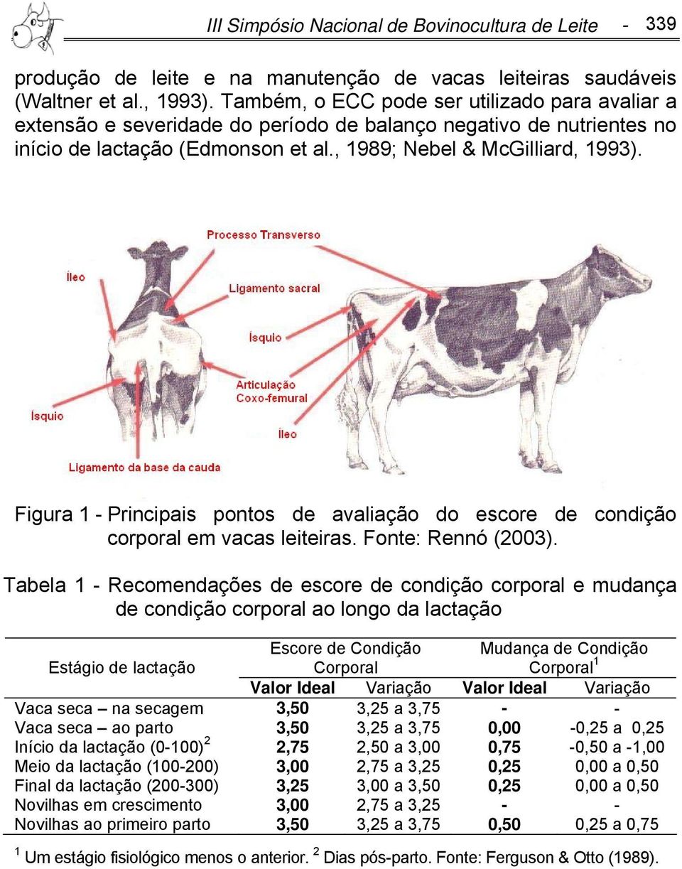 Figura 1 - Principais pontos de avaliação do escore de condição corporal em vacas leiteiras. Fonte: Rennó (2003).