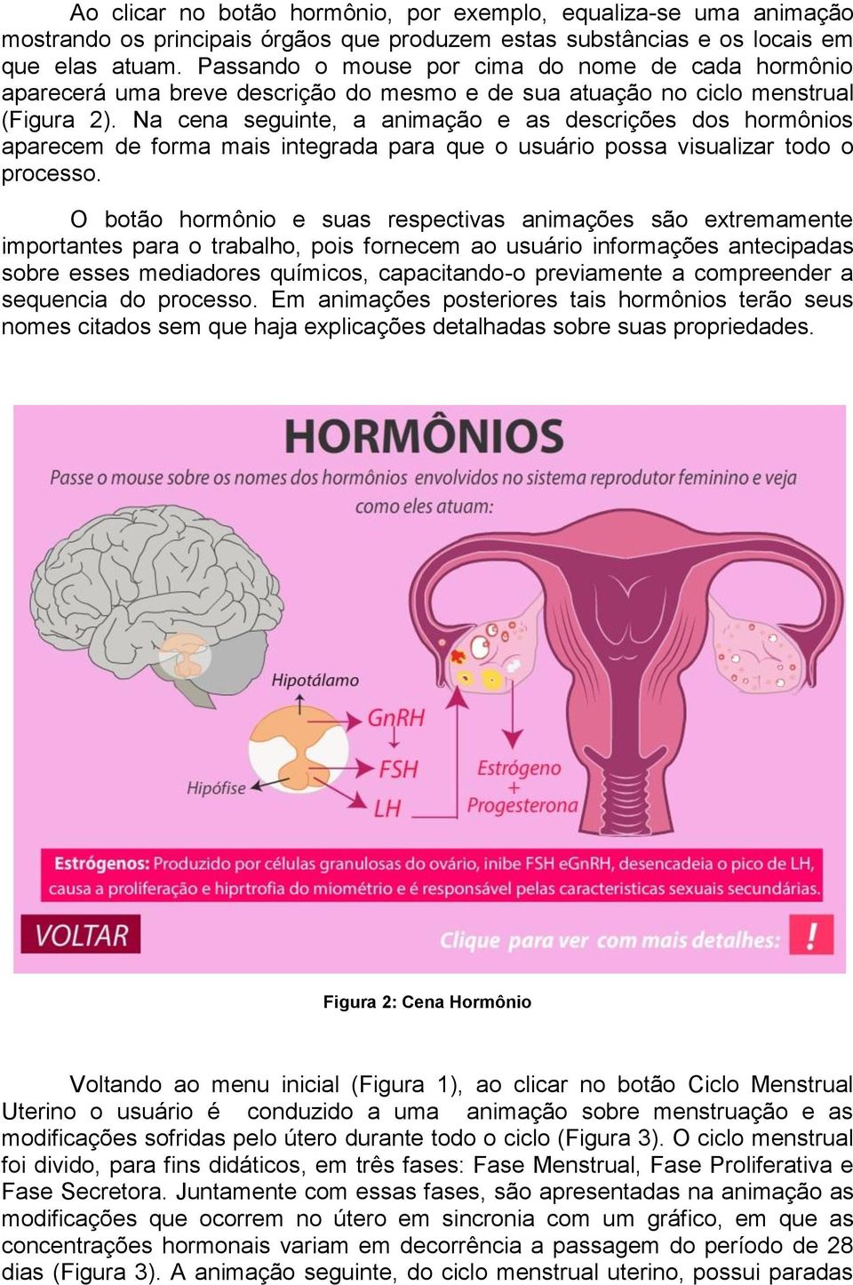 Na cena seguinte, a animação e as descrições dos hormônios aparecem de forma mais integrada para que o usuário possa visualizar todo o processo.