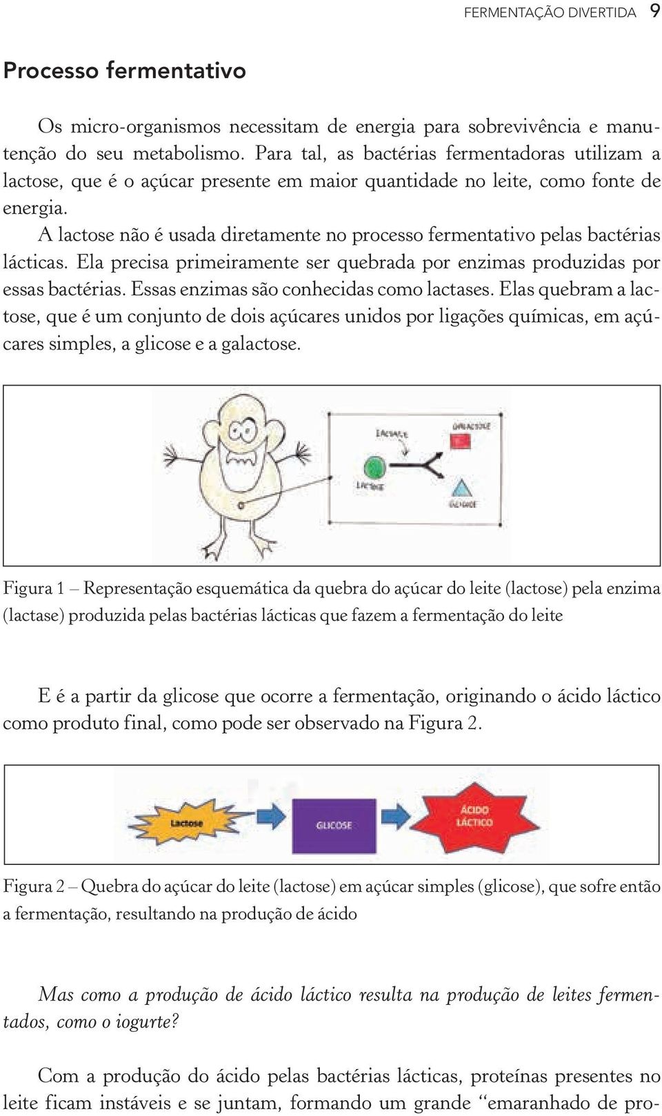 A lactose não é usada diretamente no processo fermentativo pelas bactérias lácticas. Ela precisa primeiramente ser quebrada por enzimas produzidas por essas bactérias.