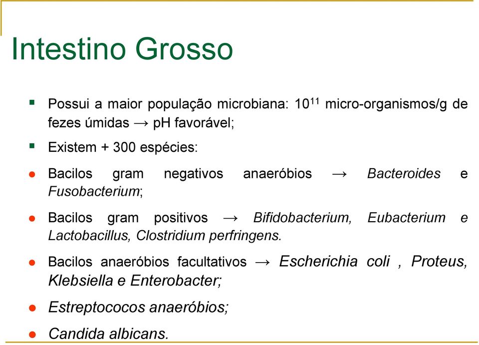 Bacilos gram positivos Bifidobacterium, Eubacterium e Lactobacillus, Clostridium perfringens.