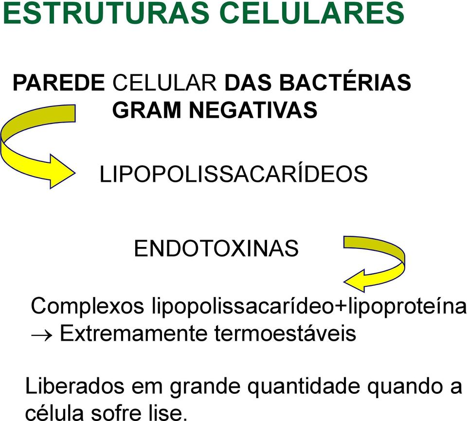 lipopolissacarídeo+lipoproteína Extremamente