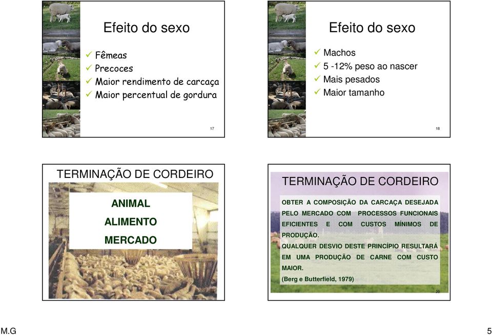 A COMPOSIÇÃO DA CARCAÇA DESEJADA PELO MERCADO COM PROCESSOS FUNCIONAIS EFICIENTES E COM CUSTOS MÍNIMOS DE PRODUÇÃO.