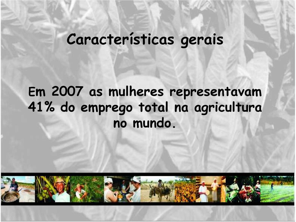 representavam 41% do