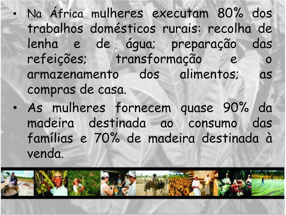 armazenamento dos alimentos; as compras de casa.